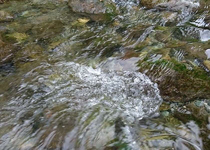 無常とは何か？その答えは自分たちが生きている世に多く存在する